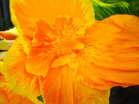 24.07.11 244.webp