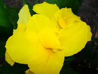 24.07.11 238.webp