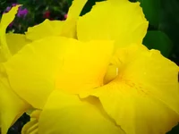 24.07.11 239.webp