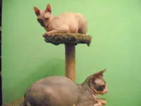 DSCF1155.webp