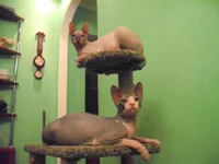 DSCF1166.webp