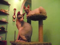 DSCF1171.webp
