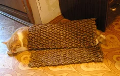 P1010258ev.webp