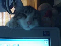 x_2bc14a61.webp