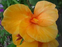 24.07.11 268.webp