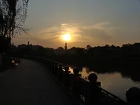 DSC00893.webp