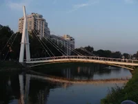 DSC00905.webp