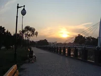 DSC00910.webp