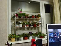 SAM_0859.webp