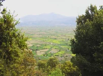 IMGA0475.jpg