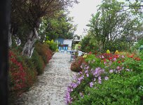IMGA0619.jpg