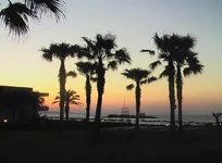 IMGA0782.jpg