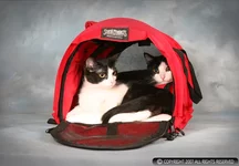 RedSturdiBagDeluxe02.webp