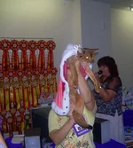 65035086.webp
