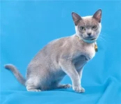 8fa07090cb8c.webp