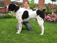 IMG_0285_1_2.webp