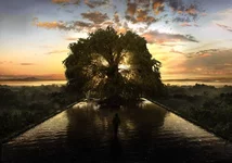 frame.webp