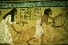 .webp