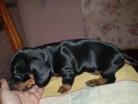 PB050236.JPG