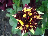 24.07.11 335.webp
