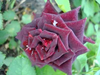 24.07.11 336.webp