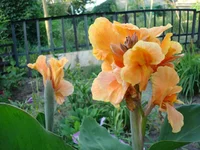 24.07.11 341.webp
