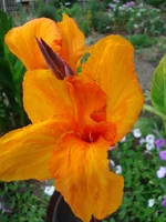 24.07.11 353.webp