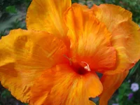 24.07.11 363.webp