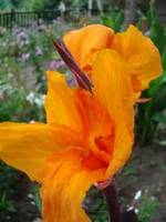 24.07.11 355.webp
