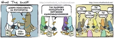 x_e34082ee.webp