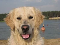 33534 151.webp