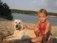 33534 194.webp