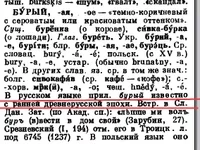5.webp
