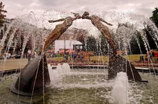 SAM_0887.webp