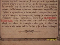 14.webp