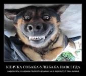y_aeca4d63.jpg