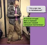 hj5aac.webp
