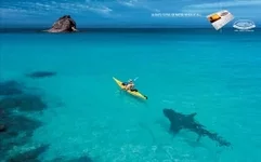 158876_(www.GdeFon.ru).webp