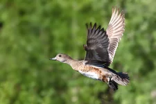 2011_08_01_9999_33и.webp