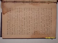 20.webp