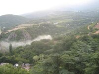 IMG_1729.jpg