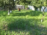 Resize of IMG_3.webp