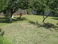 Resize of IMG_4.webp