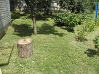 Resize of IMG_6.webp