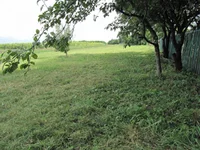  004.webp