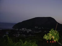 DSC08033.webp