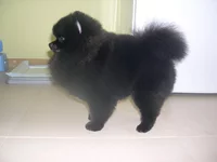 DSCN4747.webp