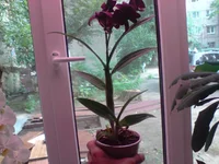P240811_11.19.webp