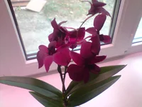 P240811_11.20.webp