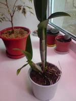 P240811_11.20[01].webp
